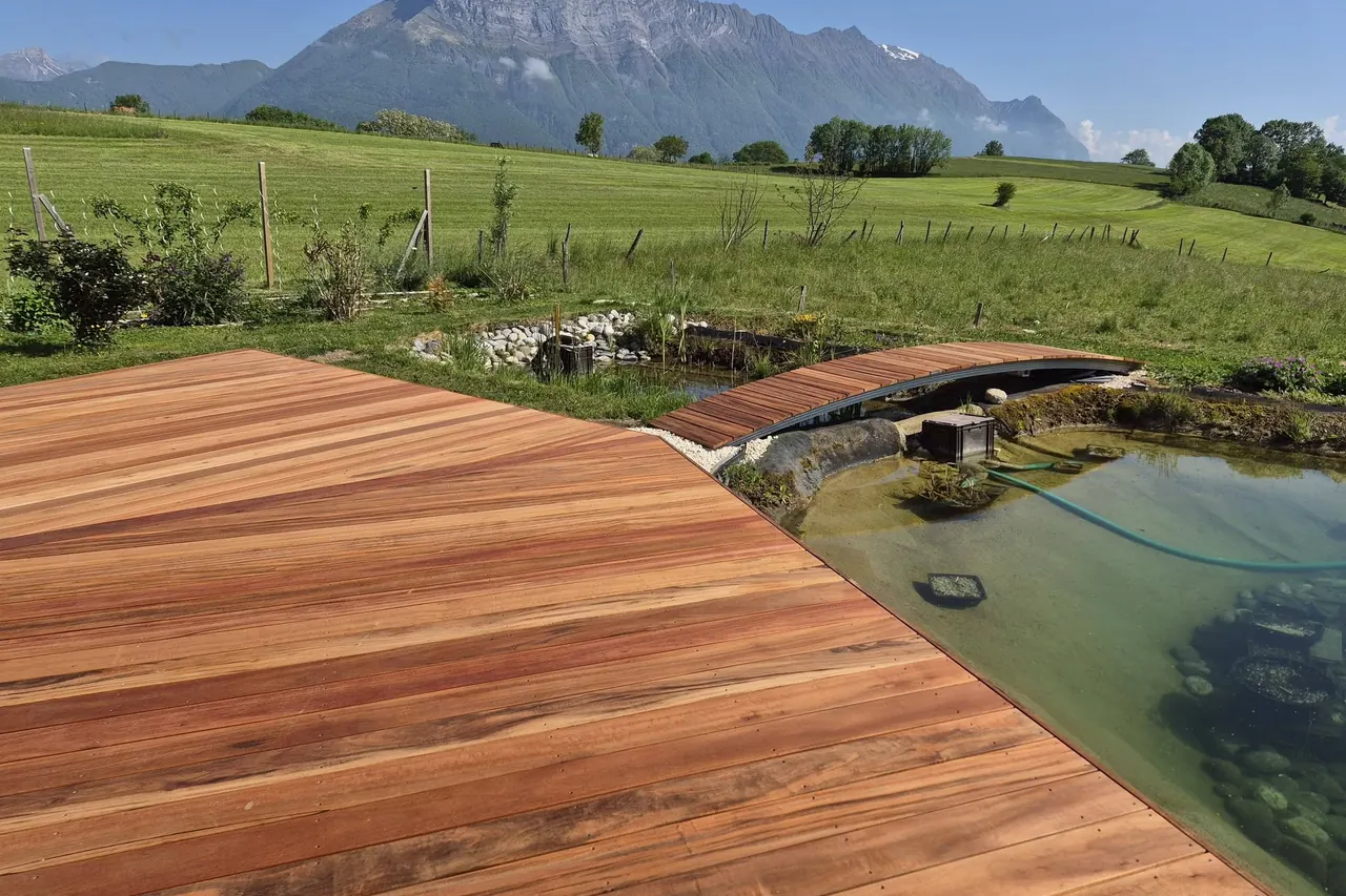 Terrasse en bois et bassin naturel face aux montagnes de Savoie