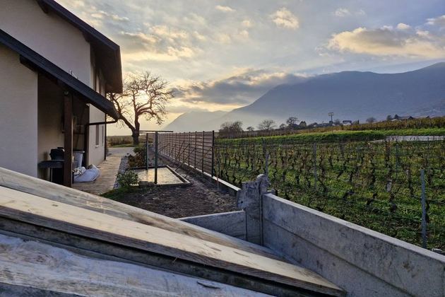 Terrassement et coffrage face aux vignes